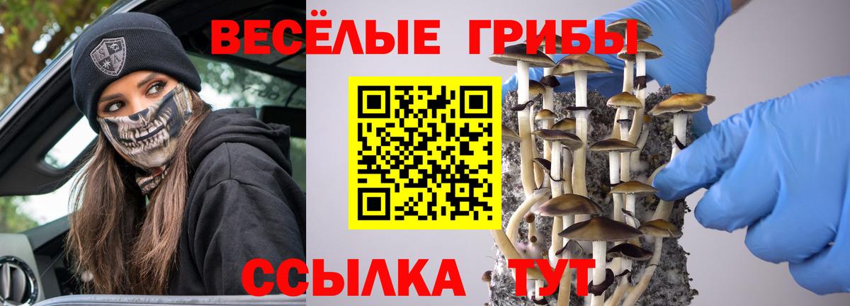 Псилоцибиновые грибы ЛСД  Вход с VPN  Псилоцибиновые грибы Psilocybe  купить наркотик  Егорьевск 